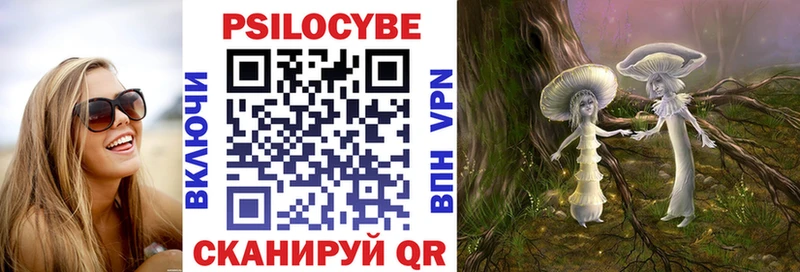 как найти закладки  Отрадное  Псилоцибиновые грибы Cubensis 