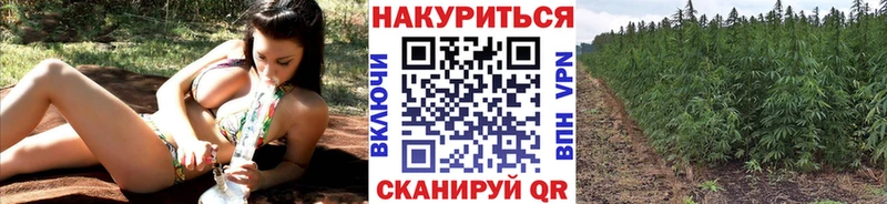 купить наркотики цена Отрадное ОМГ ОМГ ТОР Канабис Ganja